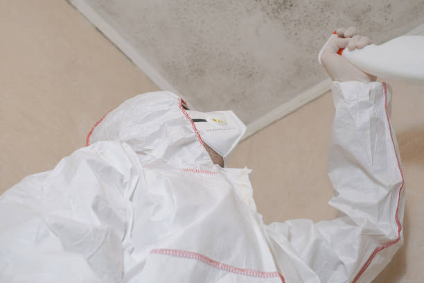 Best Mold Testing and Inspection Services in Mcgovern, PA